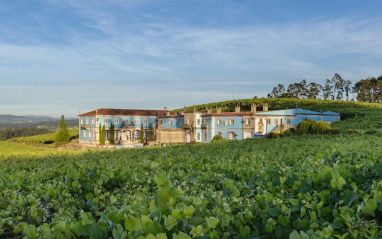 Viñas con la bodega de fondo