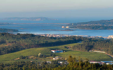 Ría de Arousa