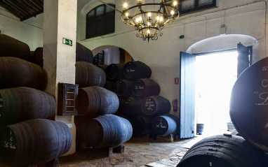 Bodegas de Hijos de Rainera Pérez Marín