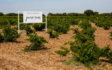 Viñedos de Javier Sanz