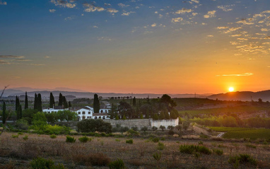Panorámica