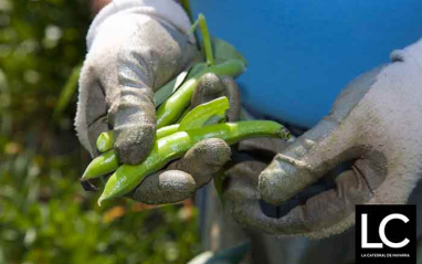 La mejor materia prima La mejor materia prima