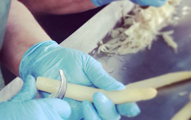 Pelado de espárragos Pelado de espárragos