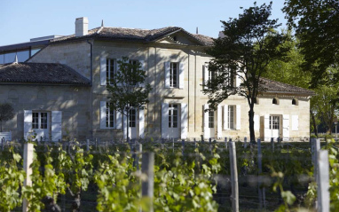 Viñas con edificio al fondo