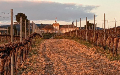 Exterior de la bodega