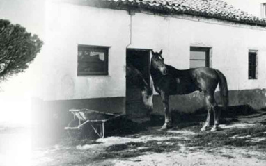 Imagen antigua de La Legua