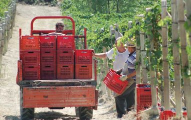 Tractor La Spinetta