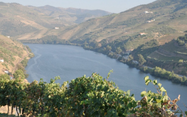 Estuario del Duero