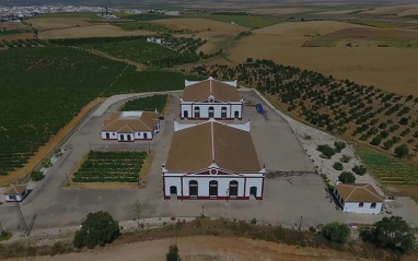 Vista aérea de la bodega