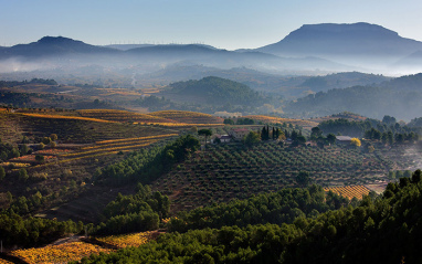 Espectacular panorámica del entorno