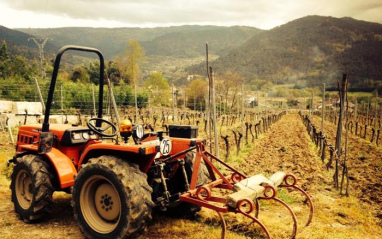 Tractor en los viñedos