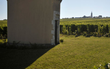Inmediaciones de la bodega