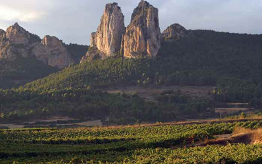 Panorámica de la zona