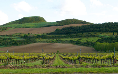 Panorámica del entorno