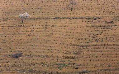 Les Tosses en primavera