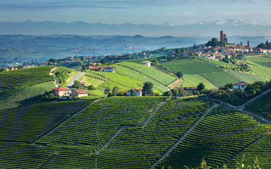 Viñedos en San Bernardo -  Serralunga d'Alba