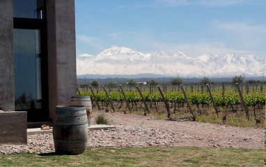 Vue du domaine et du vignoble