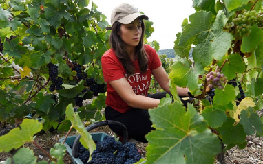 Clara es la tercera generación al frente de la bodega