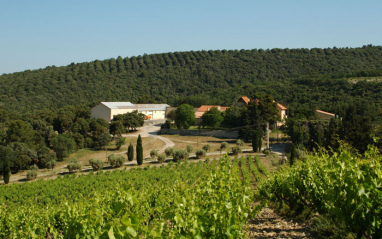 Paisaje en Gigondas