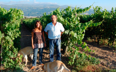 Responsables de bodega