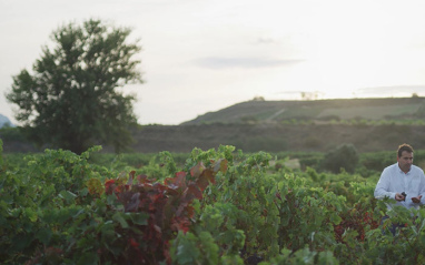 Viñedos de Santalba 