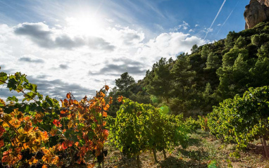 Paisaje Priorat