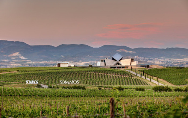 Panorámica del entorno de bodega