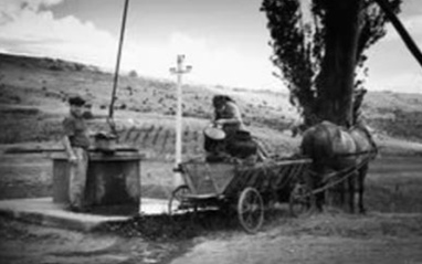 Una de las imágenes agrícolas tradicionales de Mihai Stamati