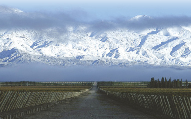 Vista de las estribaciones de los viñedos