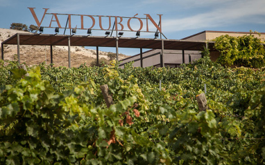 Viñas y bodega al fondo