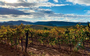 Cava Vilarnau