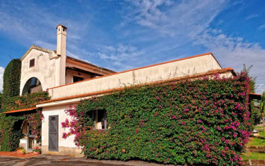 Fachada de bodega Fachada de bodega