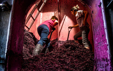 Trabajo en bodega