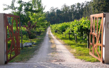 Entrada a la finca