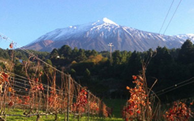 Finca Casa Canales en diciembre