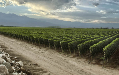 Finca Piedra Infinita