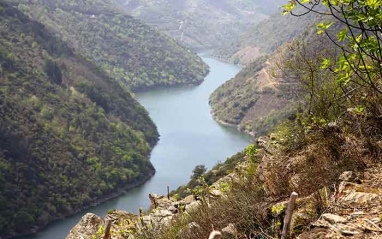 La impresionante ubicación del viñedo de Guímaro