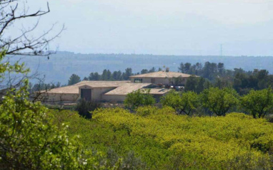 Panorámica de bodega