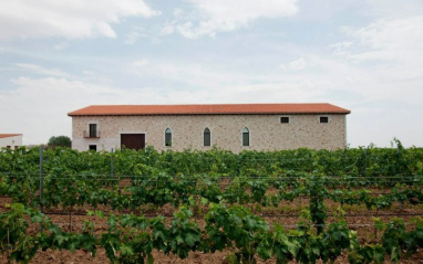 Viñedo con bodega al fondo