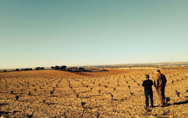 Viñedo de Terra d'Uro plantado en vaso