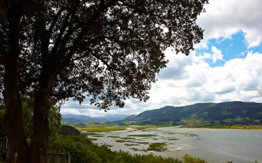 Paisaje del entorno en el que elabora Itsasmendi 