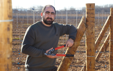 Juan, cuidando del viñedo