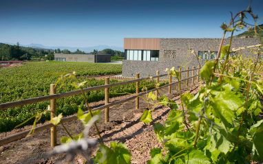 Viñas con bodega al fondo