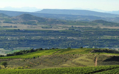 Panorámica del viñedo en Nalda