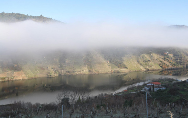 El cañón del río con niebla