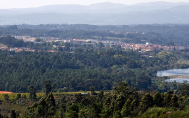 Panorámica del entorno de Viña Nora