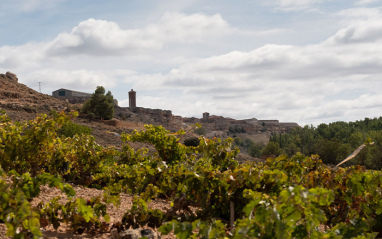 Esencia ribereña