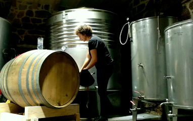Iria llenando barricas en bodega
