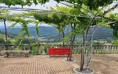 Terraza con vista al viñedo en el valle del Avia