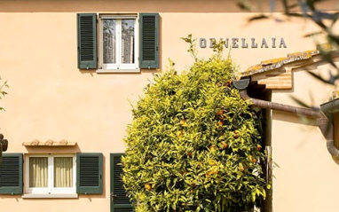 Ornellaia